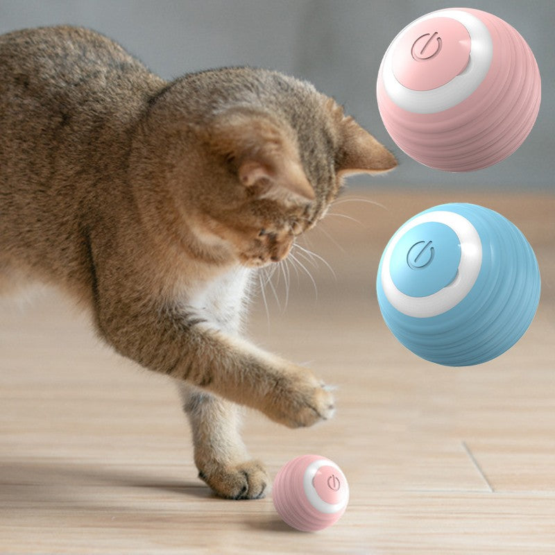 Bola Interativa Automática para Gatos - Rola Sozinha
