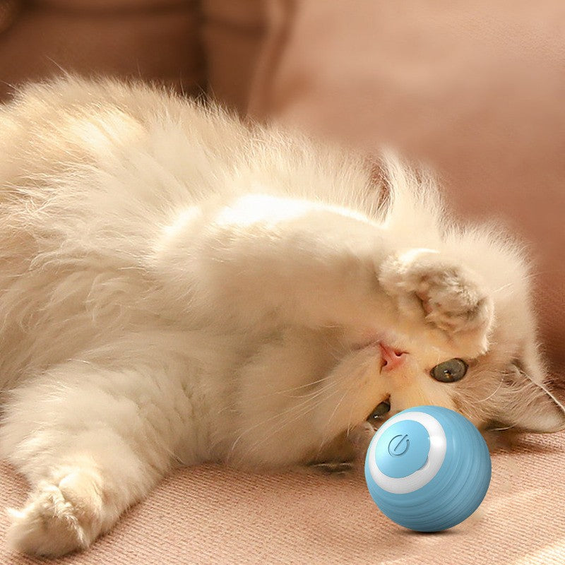 Bola Interativa Automática para Gatos - Rola Sozinha