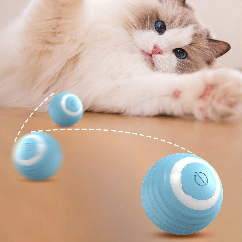 Bola Interativa Automática para Gatos - Rola Sozinha