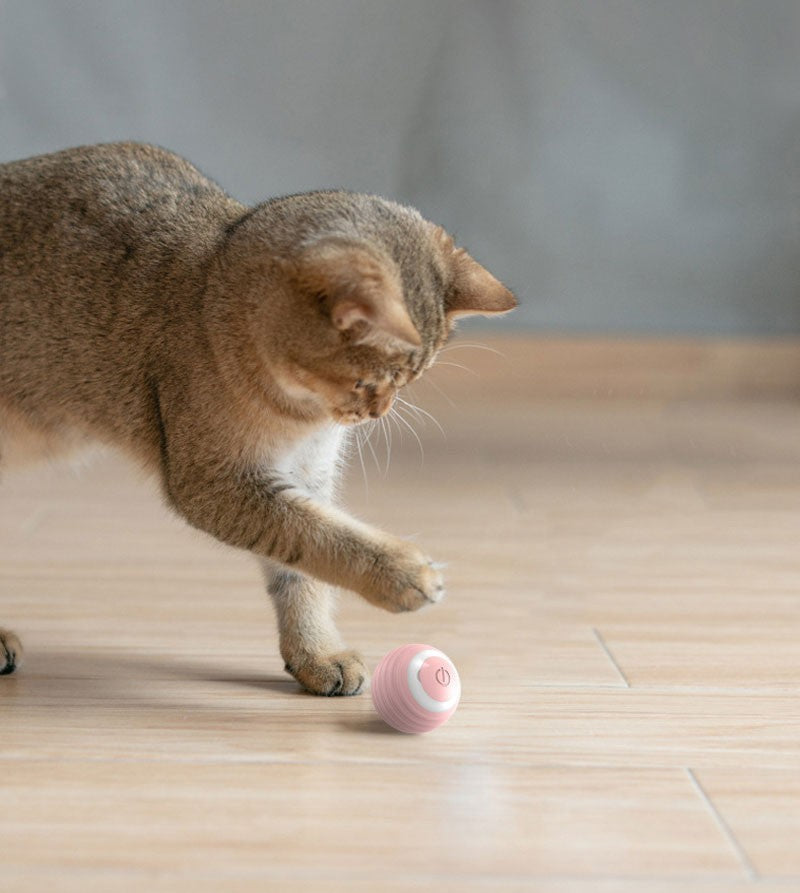 Bola Interativa Automática para Gatos - Rola Sozinha