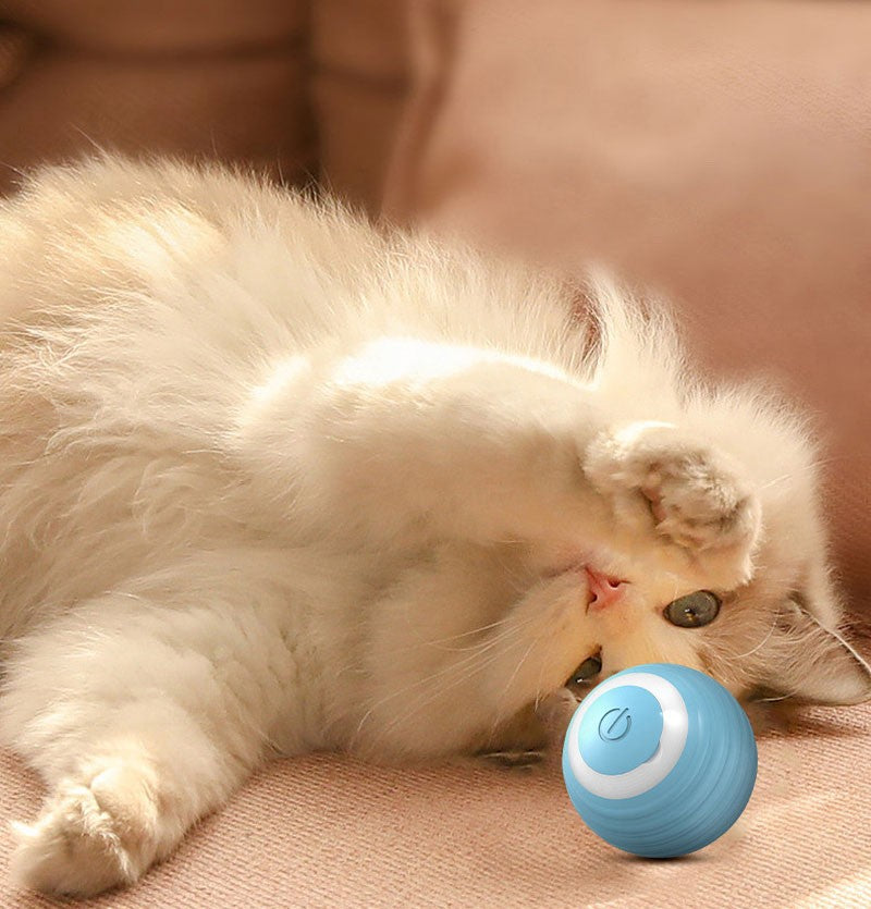 Bola Interativa Automática para Gatos - Rola Sozinha