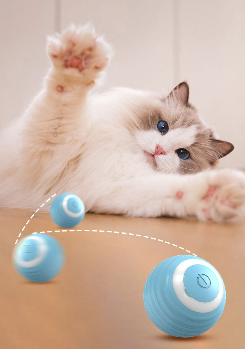 Bola Interativa Automática para Gatos - Rola Sozinha