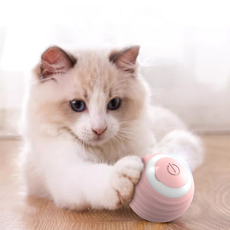 Bola Interativa Automática para Gatos - Rola Sozinha