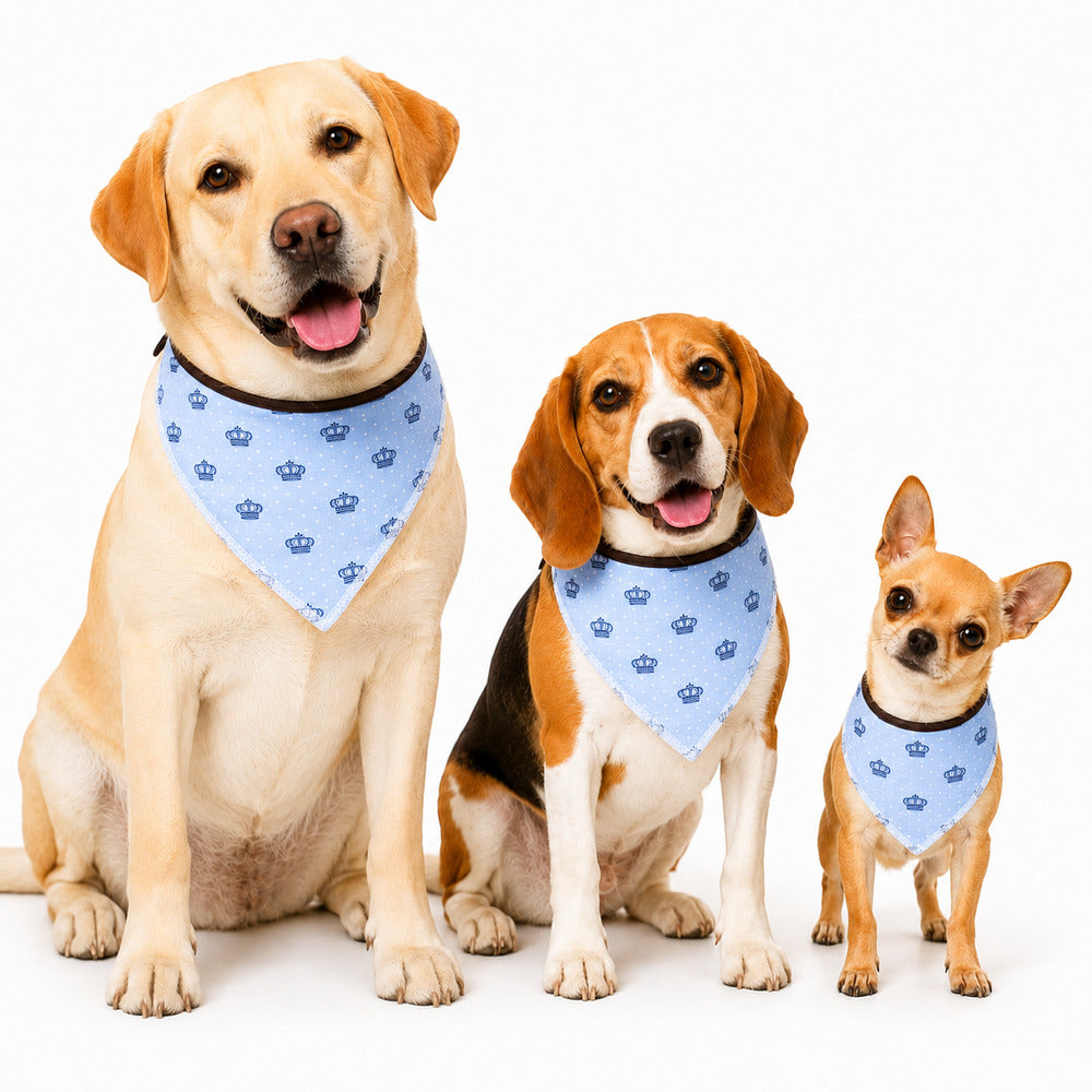 Bandana Pet Estampada para Cães e Gatos - Realeza Azul (Tam. M)