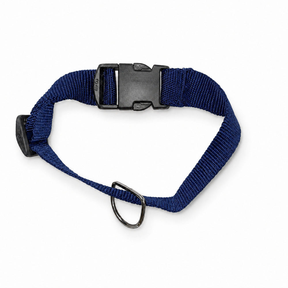 Coleira Pet Ajustável com Fivela de Engate Rápido - Azul