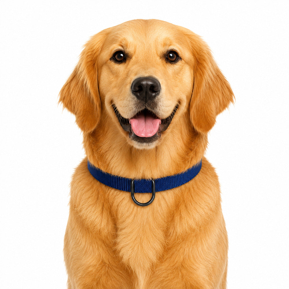 Coleira Pet Ajustável com Fivela de Engate Rápido - Azul