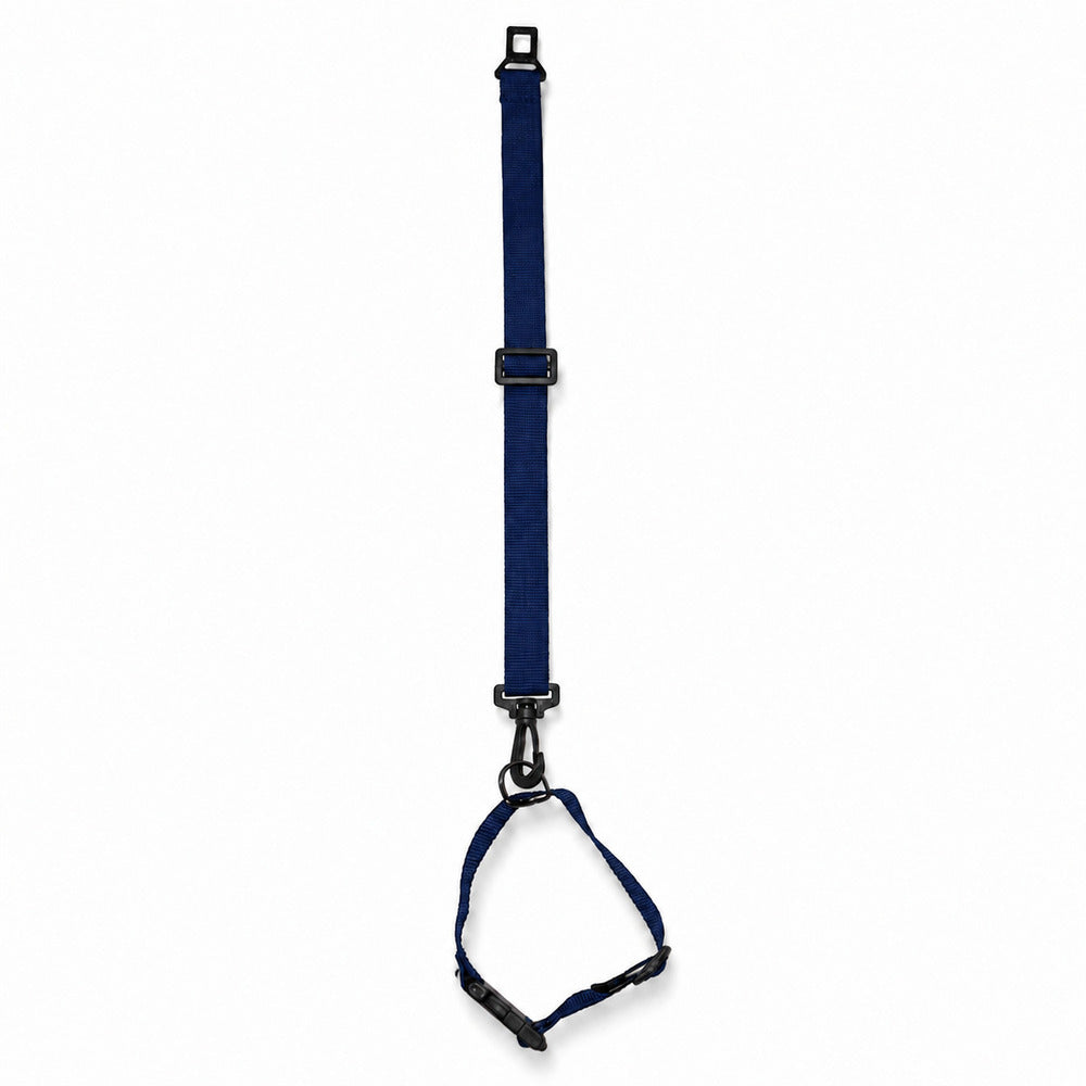 Kit Passeio Pet: Cinto de Segurança para Carro + Coleira - Azul
