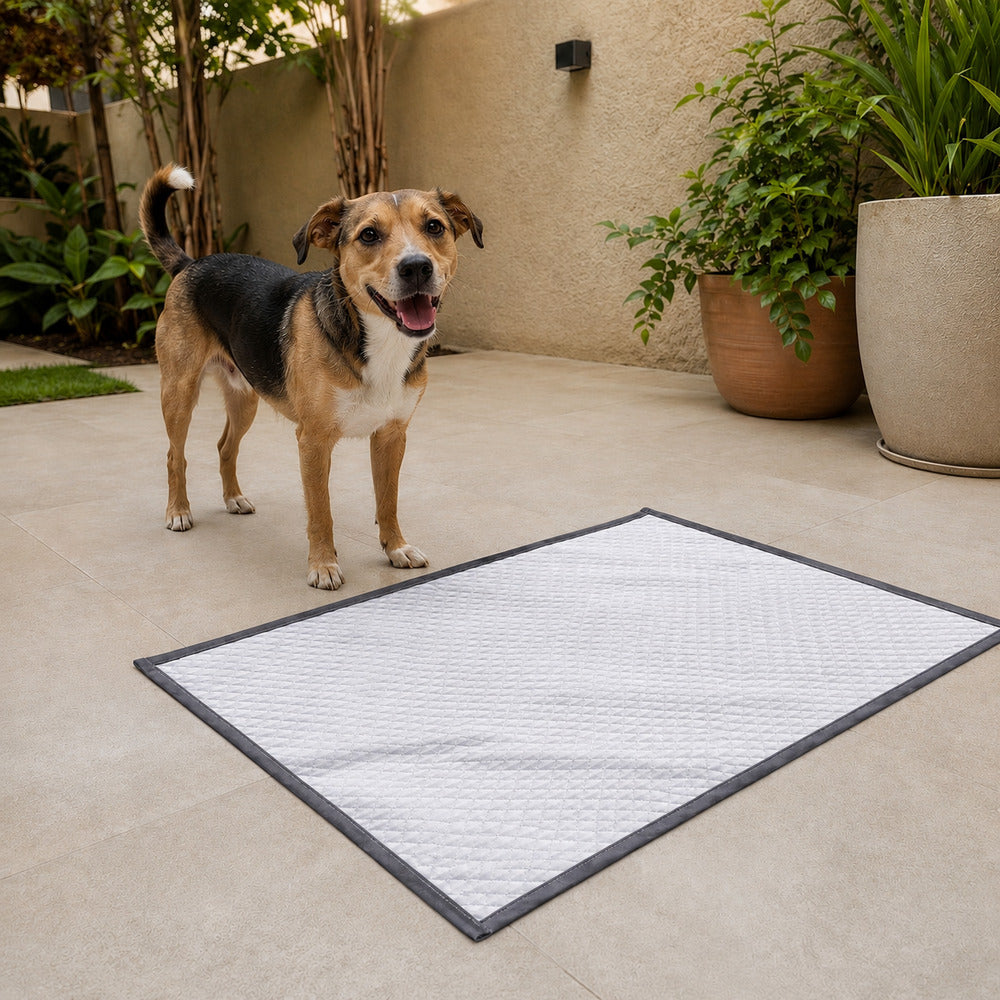 Tapete Higiênico Lavável e Impermeável para Cães - Médio Cinza